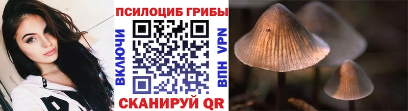 Галлюциногенные грибы Psilocybe Лабытнанги